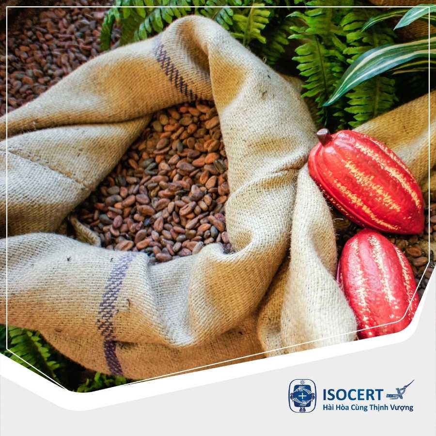 TCVN 7519:2005 - Dịch vụ cấp Chứng nhận Hợp chuẩn Hạt cacao