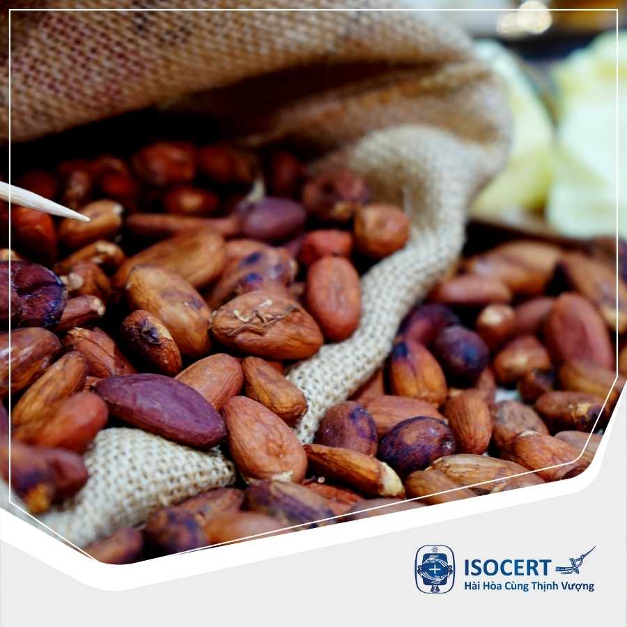 TCVN 7519:2005 - Dịch vụ cấp Chứng nhận Hợp chuẩn Hạt cacao