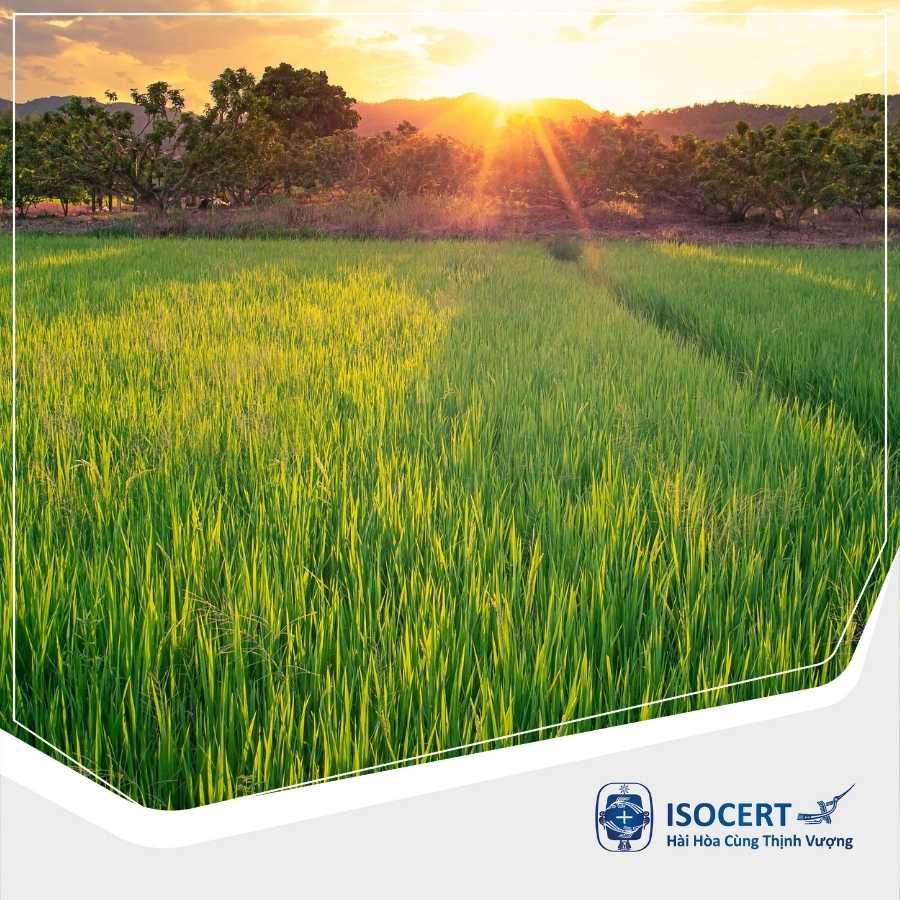 ISO 22000:2018 - Dịch vụ cấp chứng nhận Hệ thống An toàn Thực phẩm ngành Nông nghiệp 
